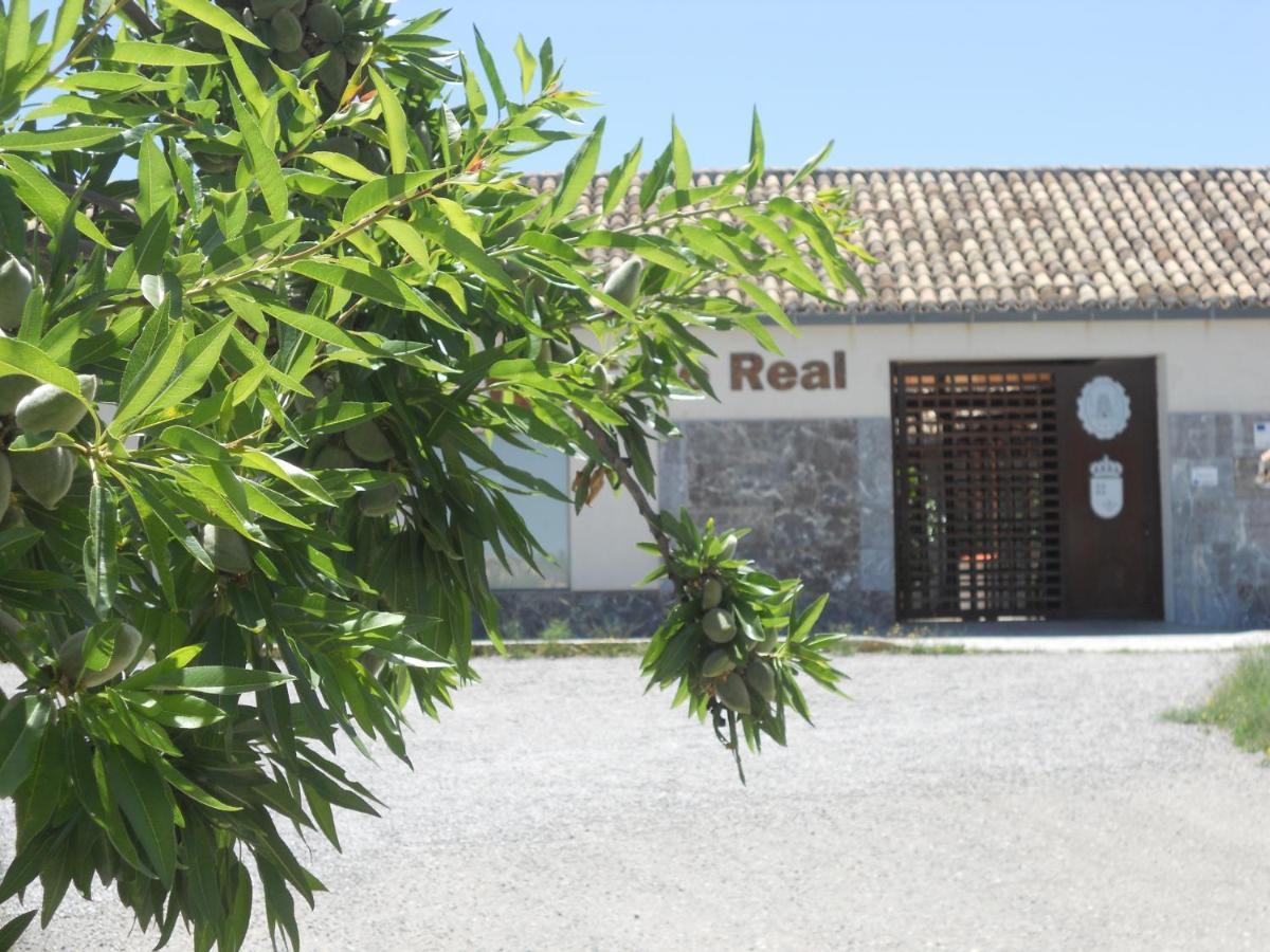 Albergue Coto Real De La Marina Cehegín المظهر الخارجي الصورة