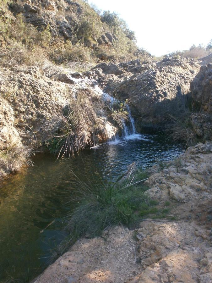Albergue Coto Real De La Marina Cehegín المظهر الخارجي الصورة